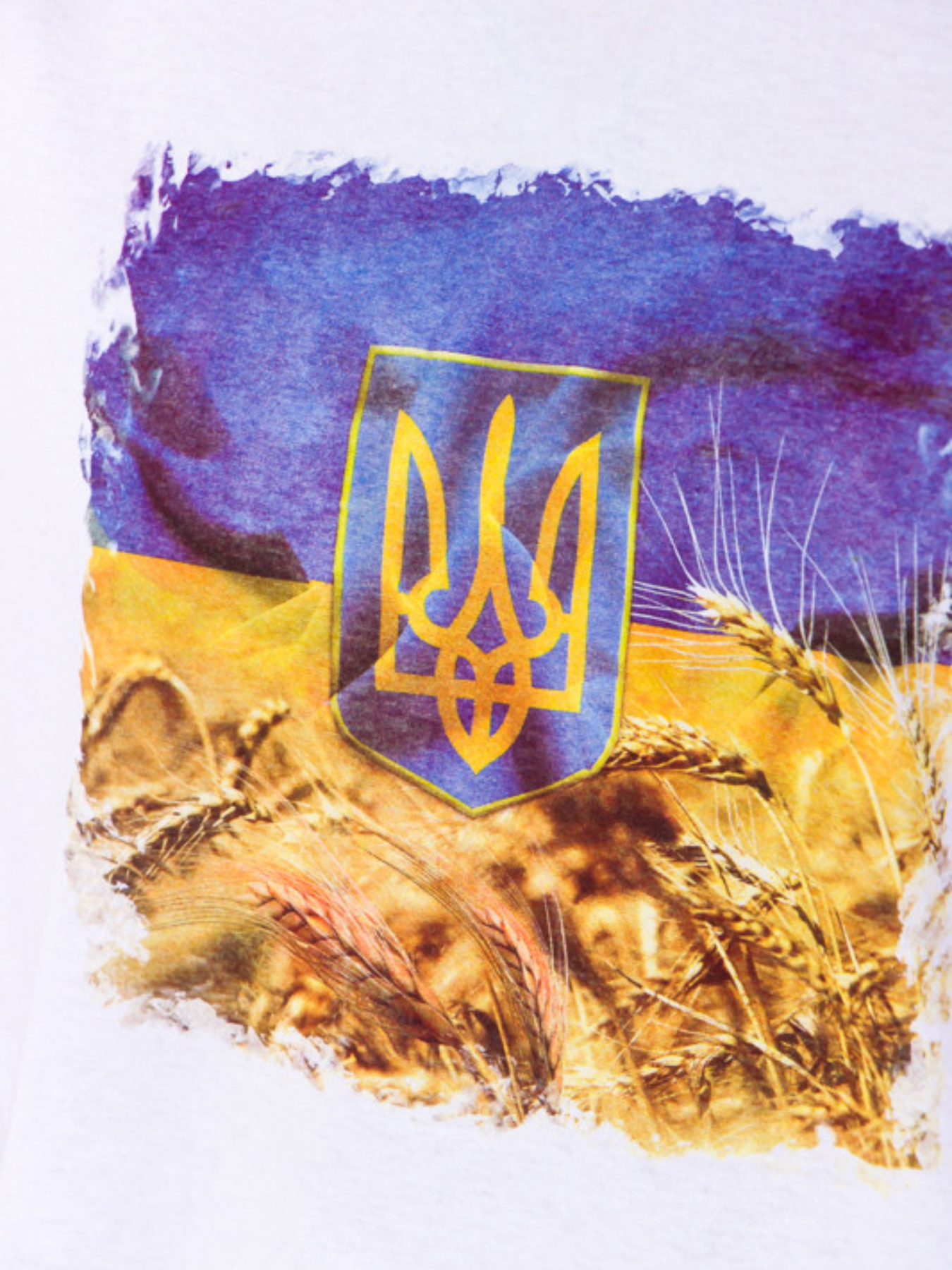 Футболка Носи своє модель 8121-001-33-1-prapor Фото