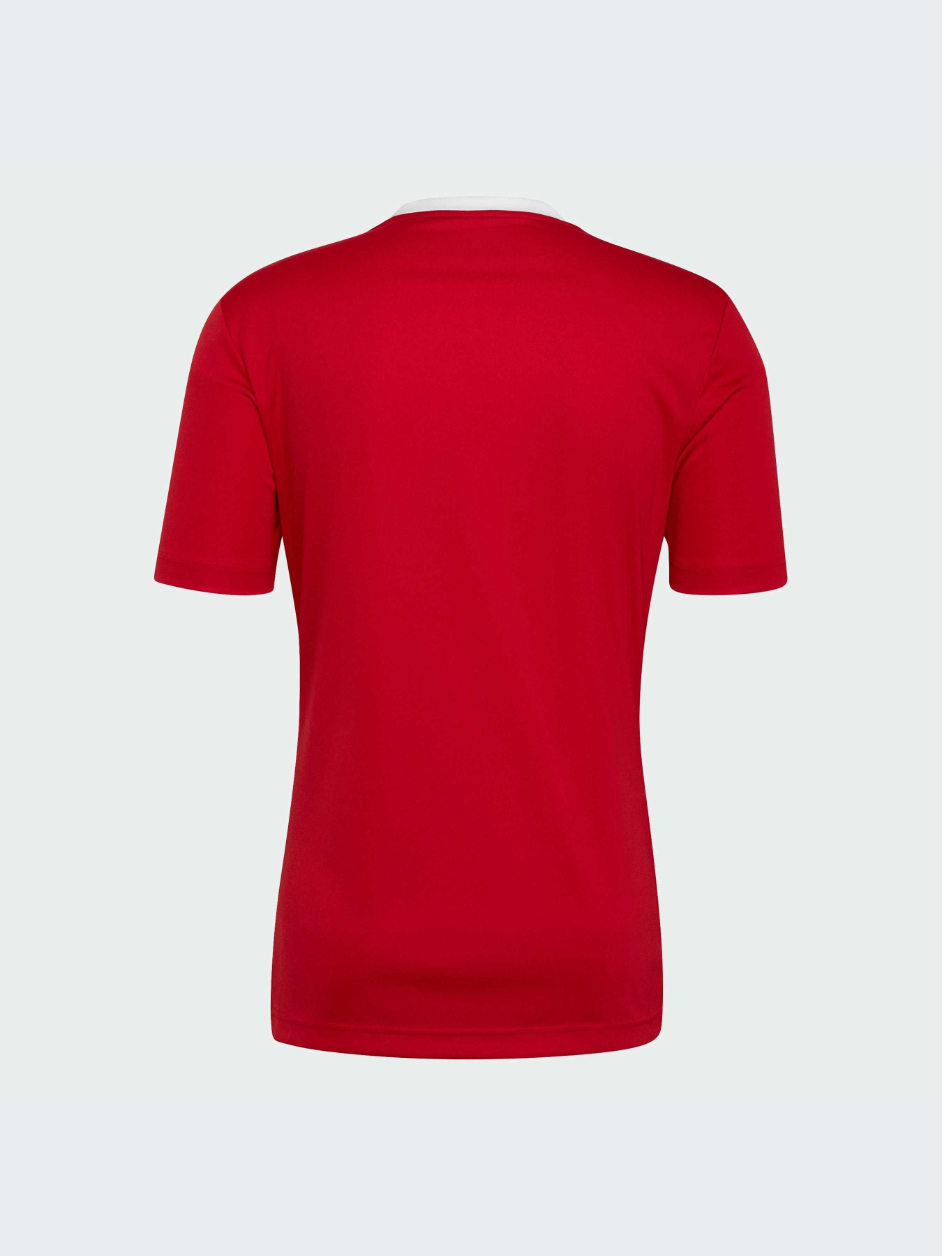 Спортивная футболка Adidas модель H61736 Фото