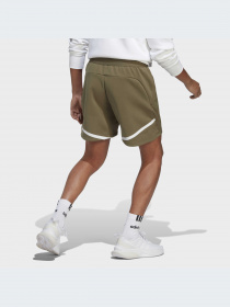 Шорты Adidas модель IC8013 Фото