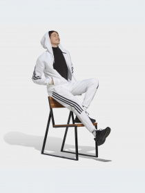 Повсякденні штани Adidas модель IC8255 Фото