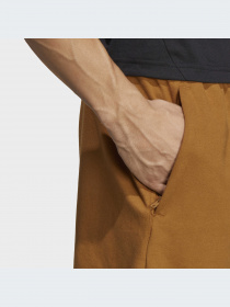 Шорты спортивные Adidas модель IC7286 Фото