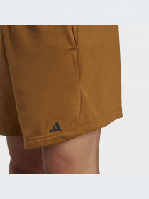 Шорты спортивные Adidas модель IC7286 Фото