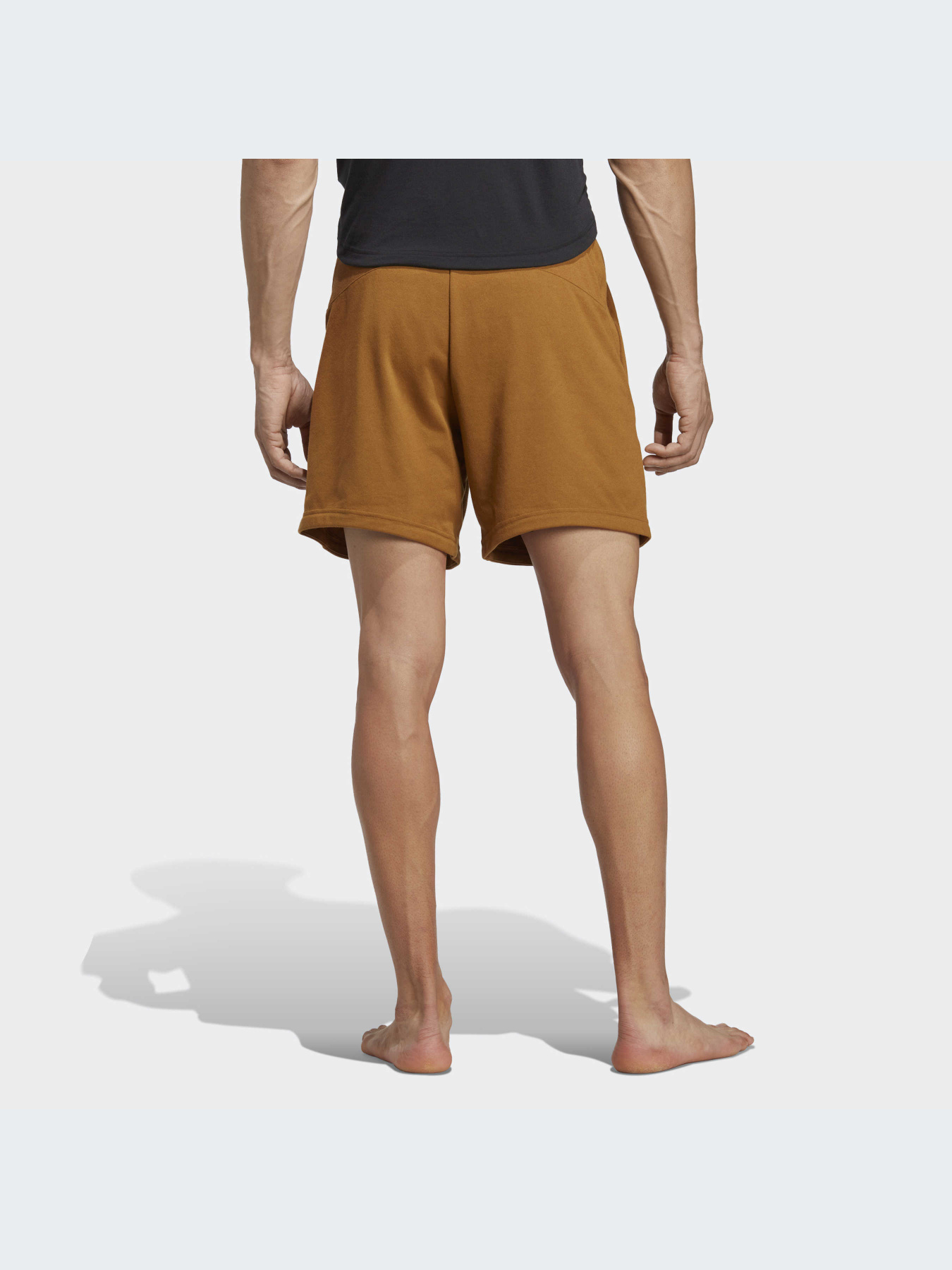 Спортивні шорти Adidas модель IC7286 Фото