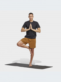 Спортивні шорти Adidas модель IC7286 Фото