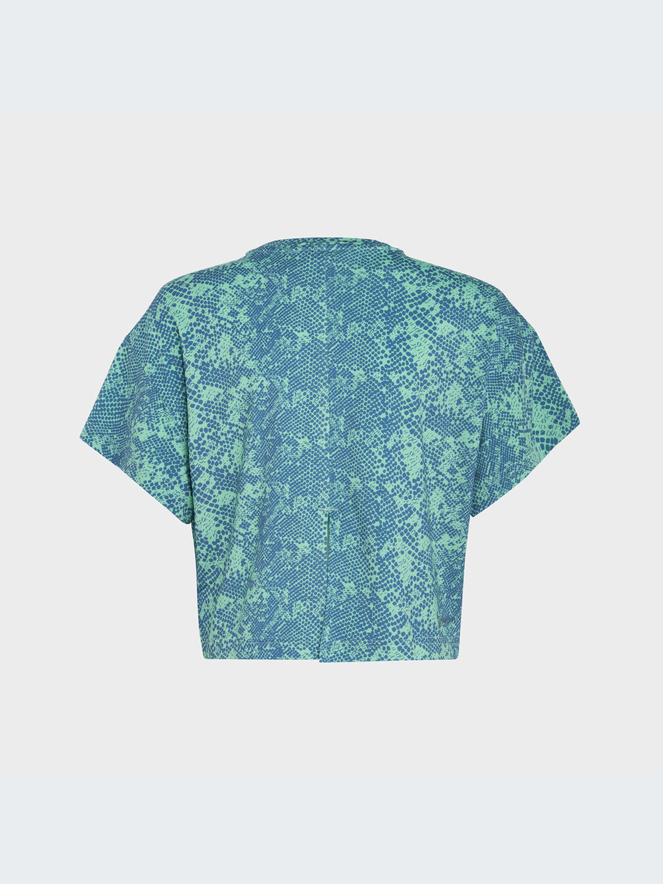 Спортивная футболка Adidas модель IC0359 Спортивная футболка Adidas модель IC0359 Фото