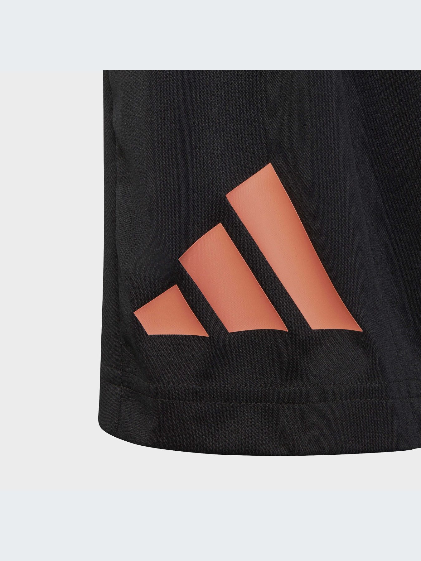 Шорты спортивные Adidas модель IC5658 Фото