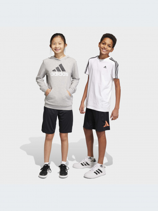 Спортивні шорти Adidas модель IC5658 Фото