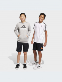 Шорты спортивные Adidas модель IC5658 Фото