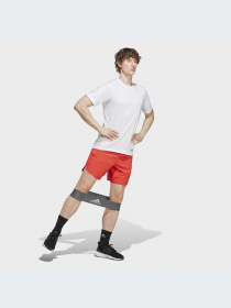 Спортивні шорти Adidas модель IC2046 Фото