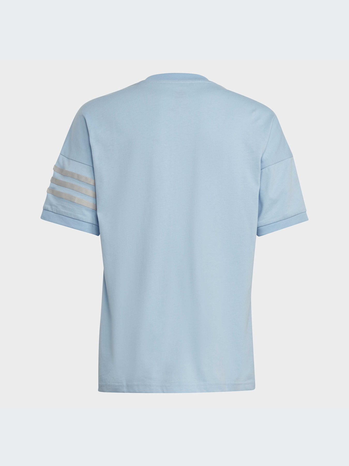 Футболка Adidas Adicolor модель IC6145 Фото