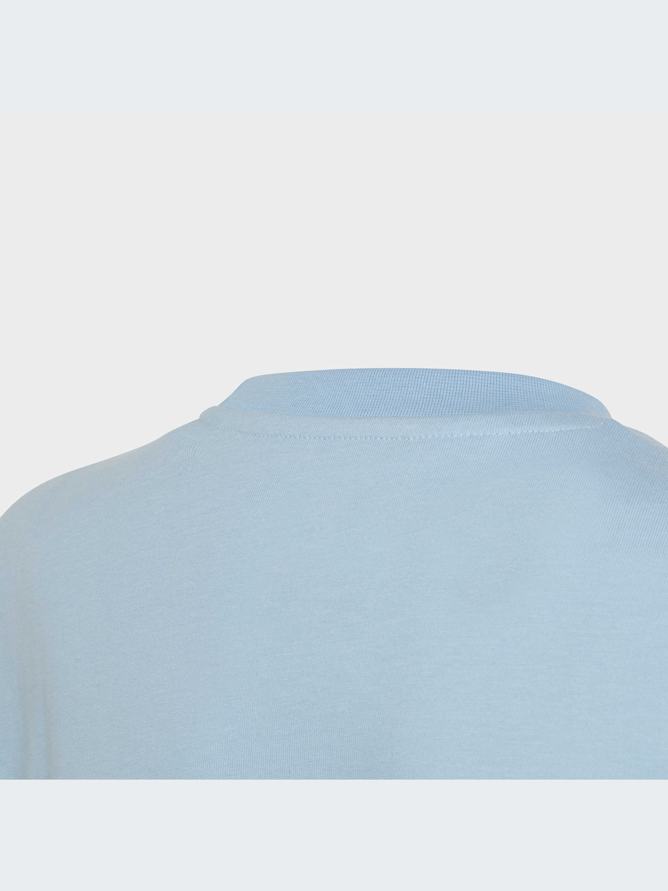 Футболка Adidas Adicolor модель IC6145 Фото