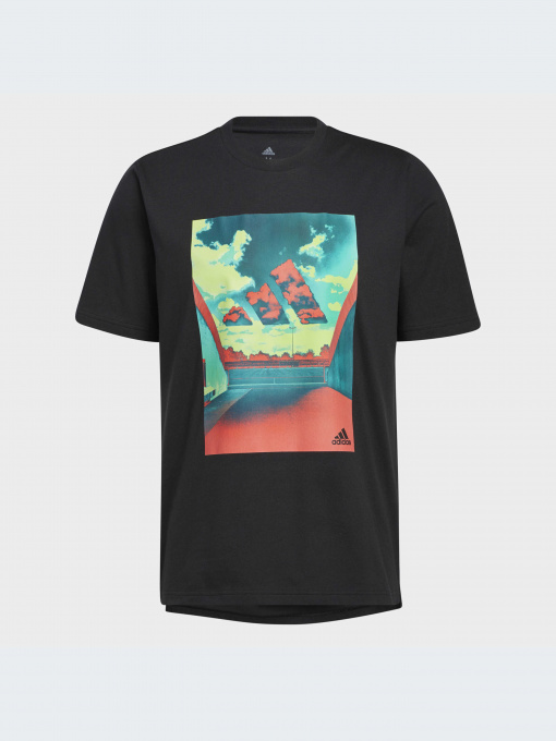 Спортивная одежда Adidas Graphics модель HE2302-KZ Фото