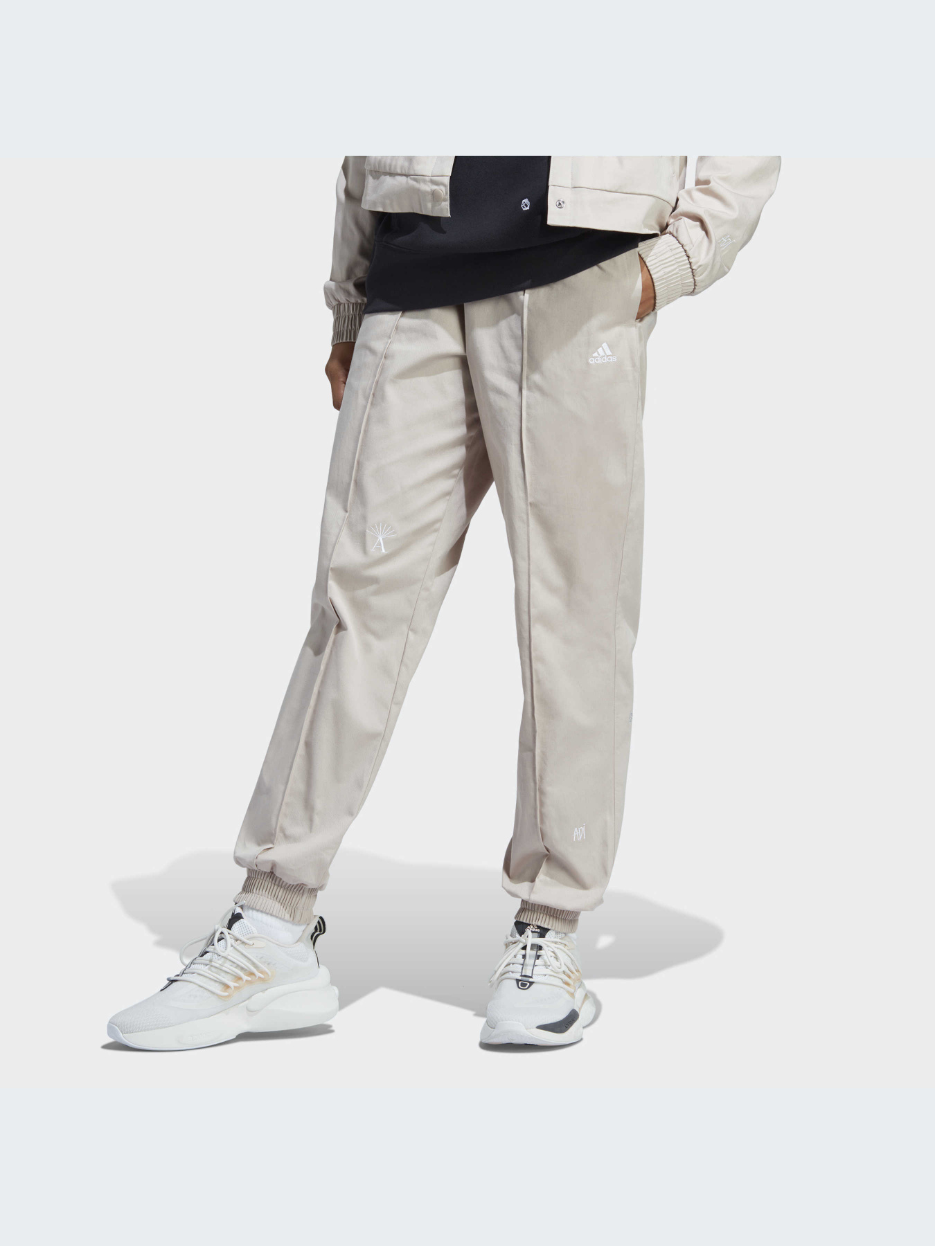 Брюки Adidas Graphics модель IC5714-KZ Фото
