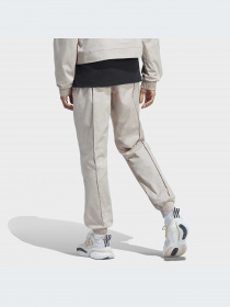 Брюки Adidas Graphics модель IC5714-KZ Фото