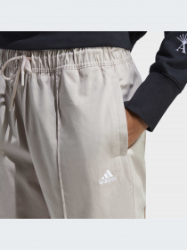Брюки Adidas Graphics модель IC5714-KZ Фото