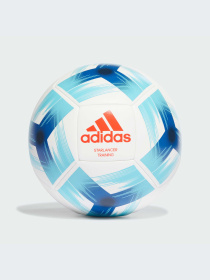 Мячи Adidas модель HE6236 Фото