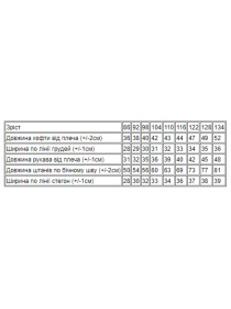 Піжама Носи своє модель 6076-024-33-4-chornilxno-sinj-new-york Фото