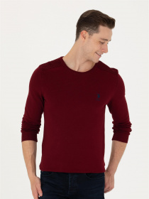 Джемпер US Polo модель G081SZ0TK.000.1629680.VR014 Джемпер US Polo модель G081SZ0TK.000.1629680.VR014 Фото