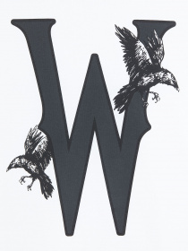 Футболка H&M модель 70171 Фото