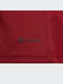 Футболка спортивная Adidas модель H64049 Фото