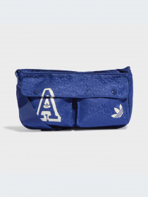 Сумка Adidas Trefoil модель IC2093 Фото