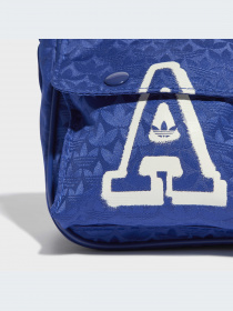 Сумка Adidas Trefoil модель IC2093 Фото