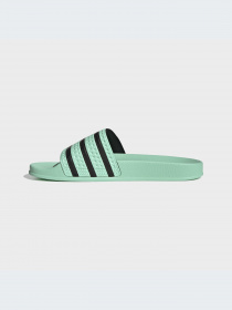 Шлепанцы Adidas Adilette модель HP6508 Фото