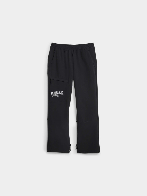 Штаны спортивные PUMA x Pleasures Cargo Pants модель 620881 Фото