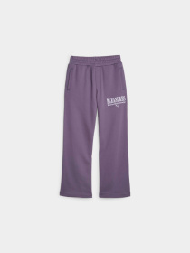 Спортивні штани PUMA x Pleasures Sweatpants модель 620882 Фото
