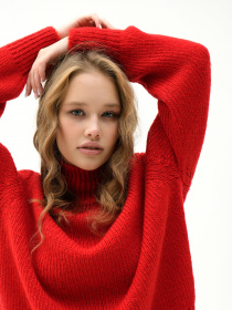 Светр Sewel модель SW933030000 Фото