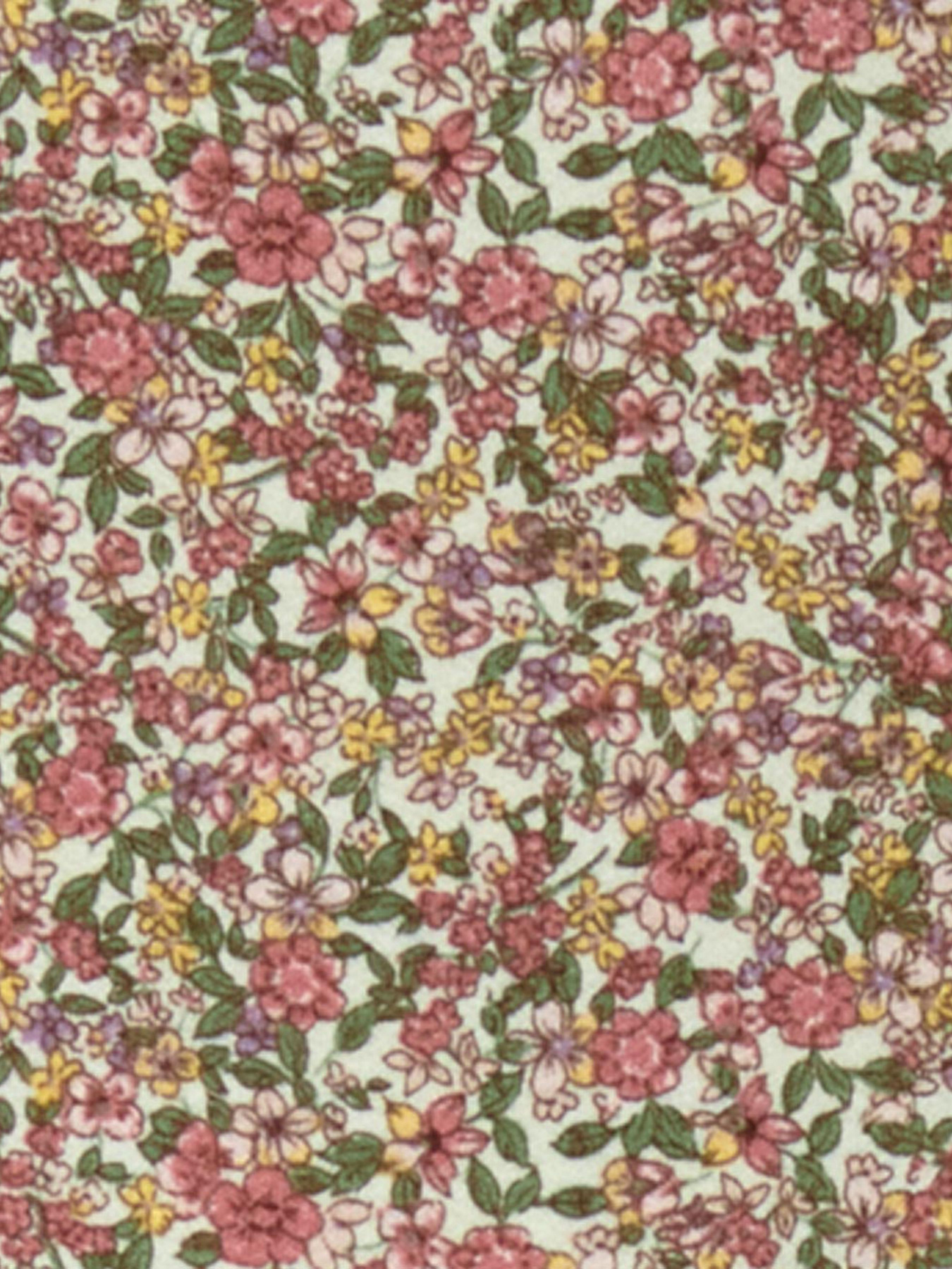 Блуза Tchibo модель T1701181101 Фото