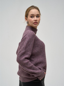 Джемпер Sewel модель JW936710000 Фото