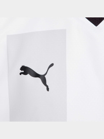 Футболка спортивная PUMA Fcsd 3rd Jersey Promo модель 765631 Фото