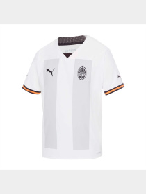 Футболка спортивная PUMA Fcsd 3rd Jersey Promo модель 765631 Фото