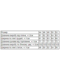 Повсякденний костюм Носи своє модель 8375-027-vasilxkovij Фото