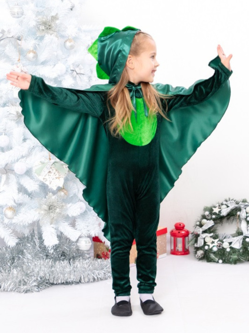 Повседневный костюм Носи своє модель 7028-ne-viznacheno Фото