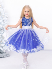 Платье миди Носи своє модель 15198-elektrik Фото