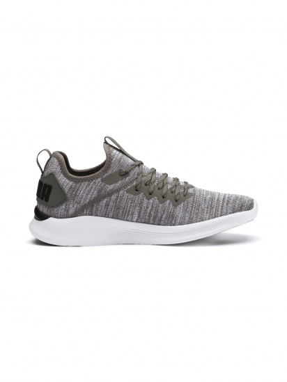 Кросівки PUMA Ignite Flash Evoknit модель 190508 - фото