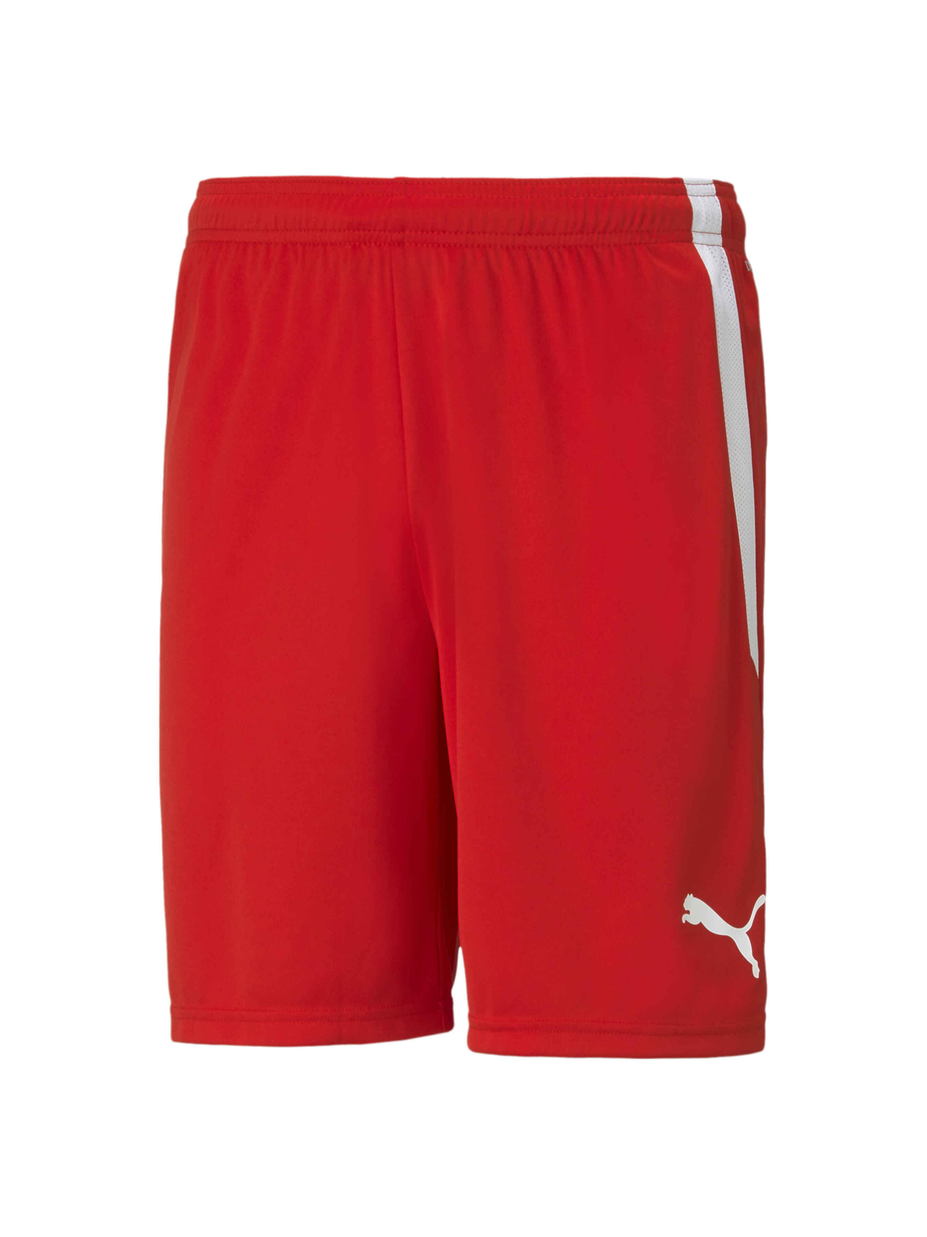Шорты спортивные PUMA Teamliga Shorts модель 704924 Фото