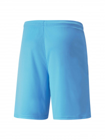 Шорты спортивные PUMA Teamliga Shorts модель 704924 Фото