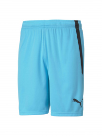 Шорты спортивные PUMA Teamliga Shorts модель 704924 Фото