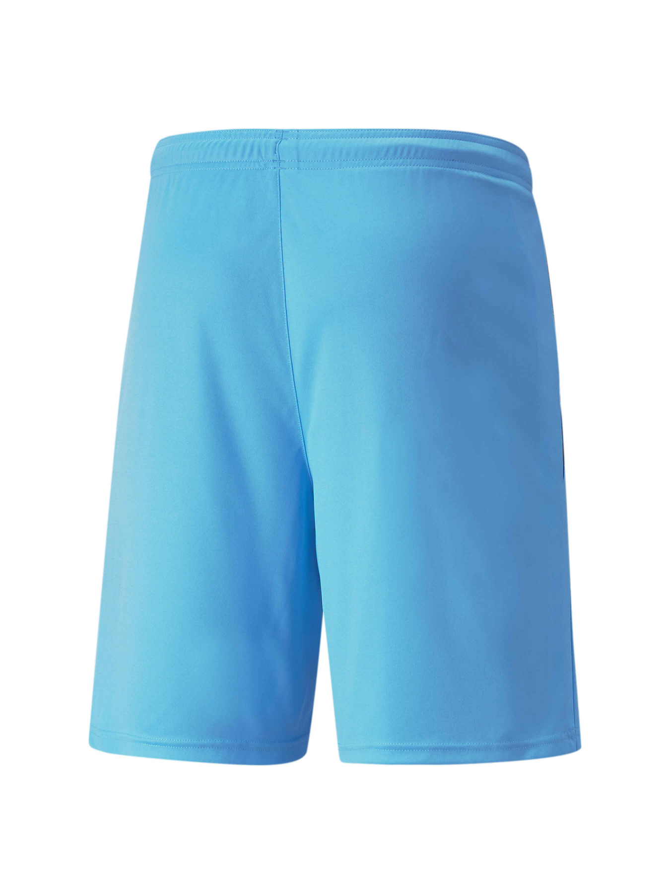 Спортивні шорти PUMA Teamliga Shorts модель 704924 Фото