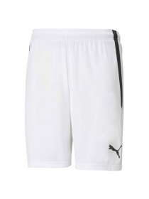 Шорты спортивные PUMA Teamliga Shorts модель 704924 Фото