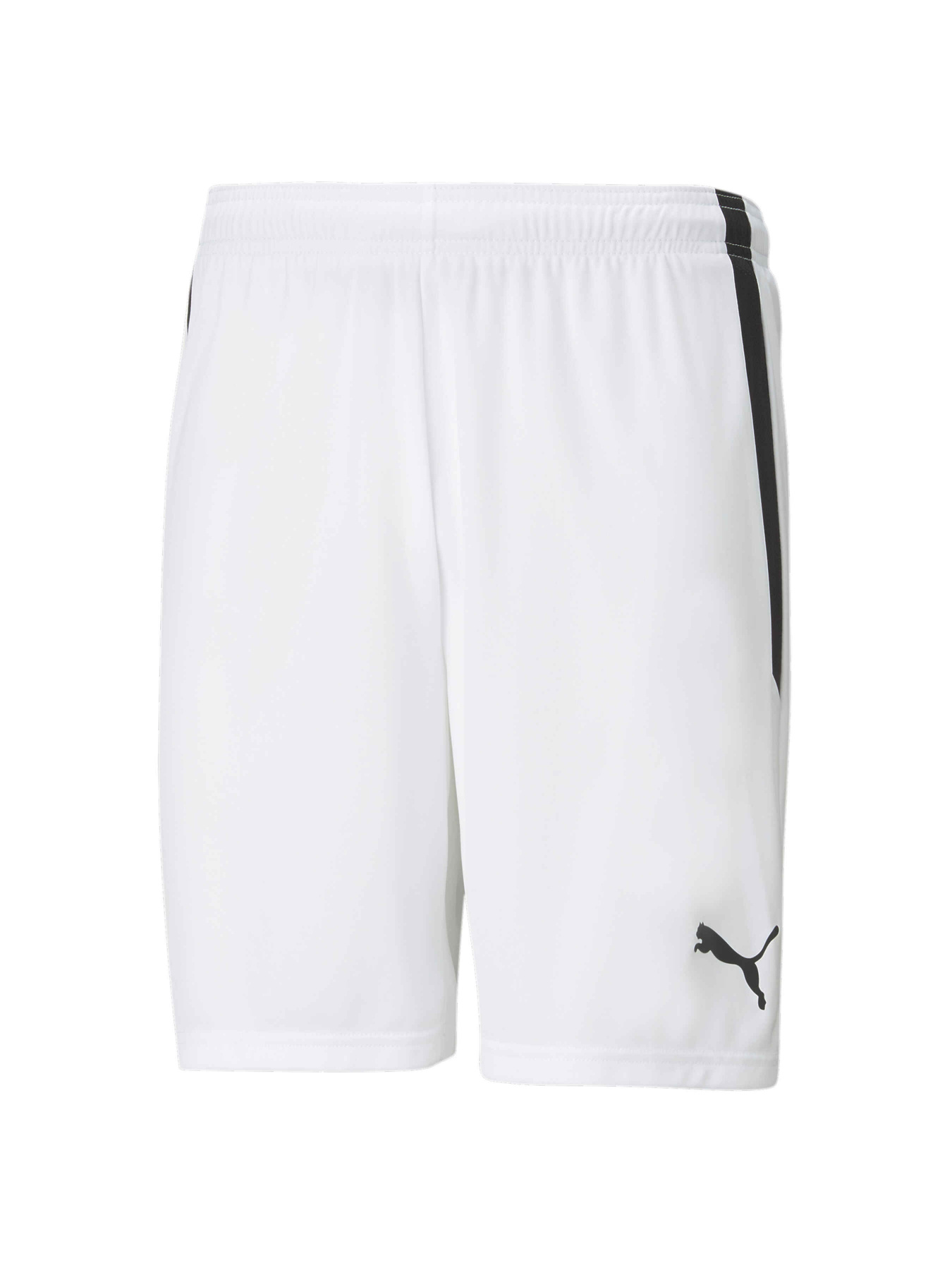 Шорты спортивные PUMA Teamliga Shorts модель 704924 Фото