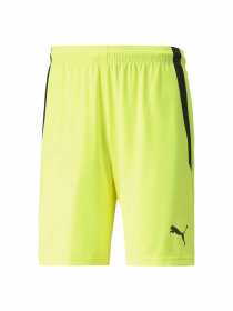 Шорты спортивные PUMA Teamliga Shorts модель 704924 Фото