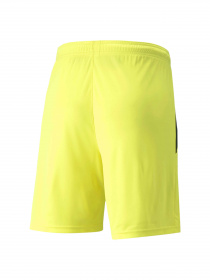 Шорты спортивные PUMA Teamliga Shorts модель 704924 Фото