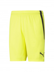 Шорты спортивные PUMA Teamliga Shorts модель 704924 Фото
