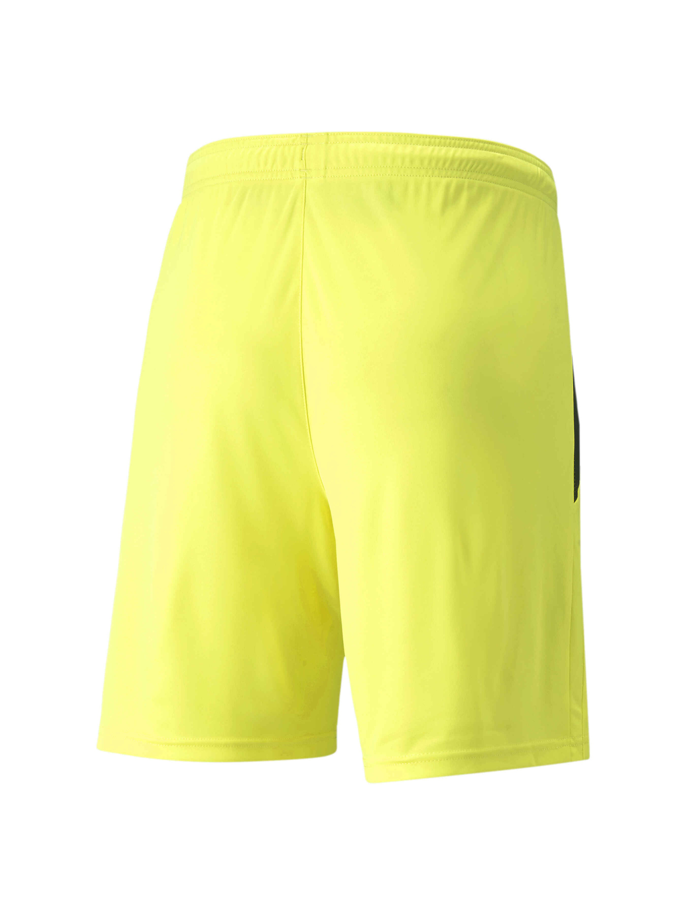Спортивні шорти PUMA Teamliga Shorts модель 704924 Фото