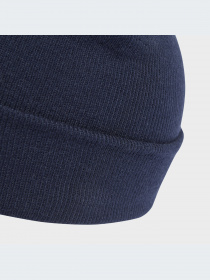 Шапка Adidas Adicolor модель IL4878 Шапка Adidas Adicolor модель IL4878 Фото