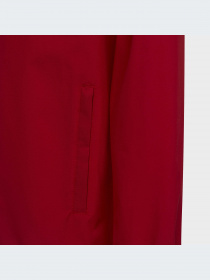 Ветровка Adidas модель HG6300 Фото